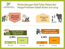 Nilai Tukar Petani (NTP) Juni  2019 Sebesar 95,47 Atau Turun 0,43 Persen.