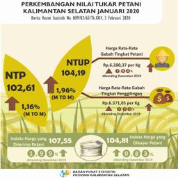 Perkembangan Nilai Tukar Petani Dan Harga Produsen Gabah Bulan Januari 2020