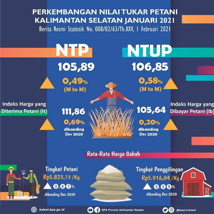 Development of Farmer Exchange Rates and Grain Producer Prices in January 2021